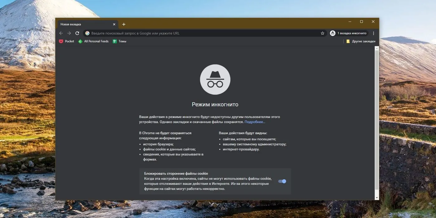 Приватное окно Chrome — браузер не сохраняет историю и cookie