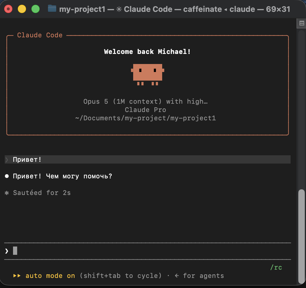 Команды внутри Claude Code