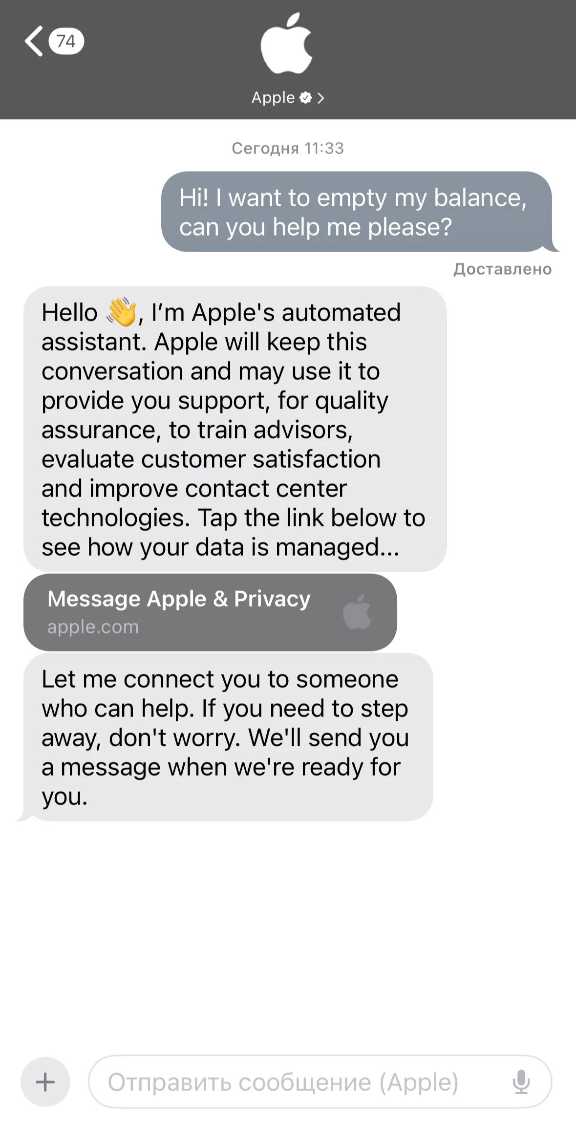 Чат с поддержкой Apple — запрос на очистку баланса